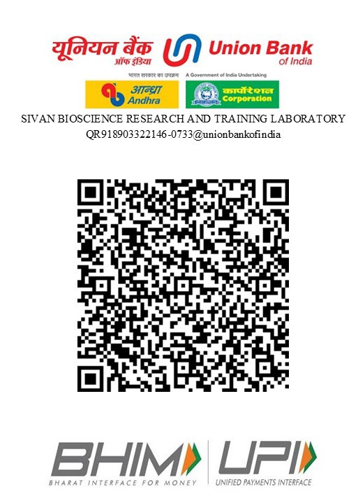 UPI QR Code